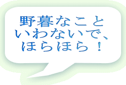 野暮なこと いわないで、 ほらほら！ 